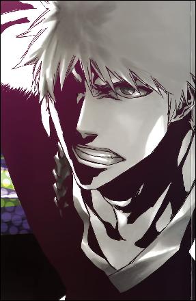 wallpaper-bleach-anime-015 (850x1304, 95 k...)