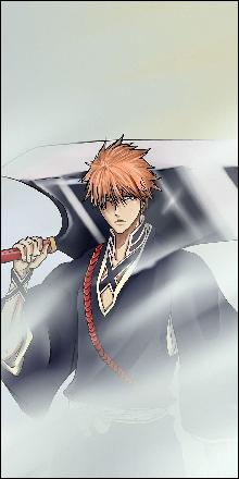 wallpaper-bleach-anime-052 (850x1700, 112 k...)